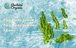 Лиофилизация - какво е и как се правят лиофилизираните храни